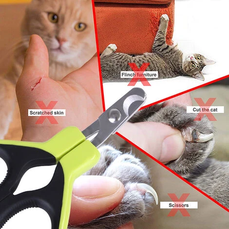 Coupe-griffes Et Coupe-ongles Pour Chat, Ciseaux à Ongles En Acier Inoxydable, Tondeuses à Griffes Portable Pour Chiot Lapin Oiseau Et Petits Animaux 4 Coupe-griffes Et Coupe-ongles Pour Chat, Ciseaux à Ongles En Acier Inoxydable, Tondeuses à Griffes Portable Pour Chiot Lapin Oiseau Et Petits Animaux – Image 2
