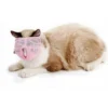 Masque Respirant En Maille Pour Chat Masque De Modification De La Bouche Anti-morsure Pour Animaux De Compagnie (Rose, S) -Pas Cher Toutou Mia Magasin 100155732 1