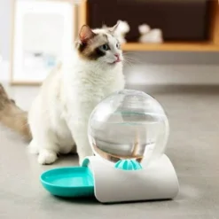 Distributeur D'eau Pour Chat Distributeur D'eau Pour Chat Filtre Organique Muet Antidérapant Chien Chat Automatique 10 Distributeur D'eau Pour Chat Distributeur D'eau Pour Chat Filtre Organique Muet Antidérapant Chien Chat Automatique -Pas Cher Toutou Mia Magasin 100266432 4