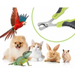 Coupe-griffes Et Coupe-ongles Pour Chat, Ciseaux à Ongles Courbe En Acier Inoxydable, Tondeuses à Griffes Portable Pour Chiot Lapin Oiseau Et Petits Animaux -Pas Cher Toutou Mia Magasin 100266539 3