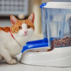 Ferplast NADIR - 3 L Distributeur D'eau - 2 Couleurs. Variante NADIR - Mesures: 20.2 X 29.2 X H 28.8 Cm - 3 L - Blanc -Pas Cher Toutou Mia Magasin 12573110 4