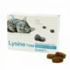 Lysine Pour Chat Et Chaton De TVM: Complément Nutritionnel -Pas Cher Toutou Mia Magasin 22926639 1