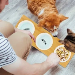 1002885359 Gamelle Triple En Bambou, Bols En Céramique, Eau Et Nourriture, Adapté Pour Le Lave-Vaisselle, Naturelle, Nature, 1 -Pas Cher Toutou Mia Magasin 26310712 3