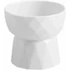 Kueatily Blanc Céramique Gamelle Pour Chat Avec Support Surélevé, Pour Chats Et Chiens De Petite Taille 1 Kueatily Blanc Céramique Gamelle Pour Chat Avec Support Surélevé, Pour Chats Et Chiens De Petite Taille -Pas Cher Toutou Mia Magasin 28283736 1