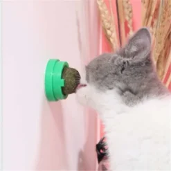 AIDUCHO Boule D'herbe à Chat Naturelle Rotative Pour Chat - Jouet Amusant Pour La Maison - Chasing Pour Chaton, Sucette, Menthe, Bâton Dentaire, Mâcher Les Dents -Pas Cher Toutou Mia Magasin 32751679 5