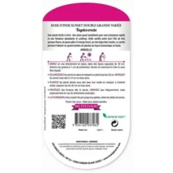 Graines - Rose D'Inde Sunset Double Grande Variée -Pas Cher Toutou Mia Magasin 36810286 2