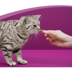 WHISKAS Les Irrésistibles Friandises Au Boeuf Pour Chat 8x60g -Pas Cher Toutou Mia Magasin 40983131 5