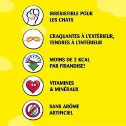 CATISFACTIONS Friandises Au Poulet Pour Chat Et Chaton (12x60g) -Pas Cher Toutou Mia Magasin 41862773 4