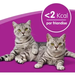 WHISKAS Les Irrésistibles Friandises Au Poulet Et Fromage Pour Chat (5x105g) -Pas Cher Toutou Mia Magasin 41862782 3