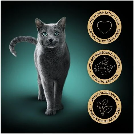 SHEBA Mini Filets 72 Sachets Fraîcheur Coffret Mixe Sauce Pour Chat 85g (6x12) 4 SHEBA Mini Filets 72 Sachets Fraîcheur Coffret Mixe Sauce Pour Chat 85g (6x12) – Image 2