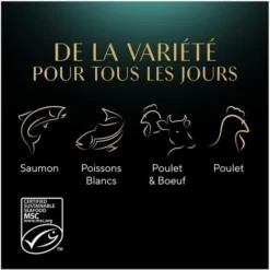 SHEBA Mini Filets 72 Sachets Fraîcheur Coffret Mixe Sauce Pour Chat 85g (6x12) 11 SHEBA Mini Filets 72 Sachets Fraîcheur Coffret Mixe Sauce Pour Chat 85g (6x12) -Pas Cher Toutou Mia Magasin 41862784 5