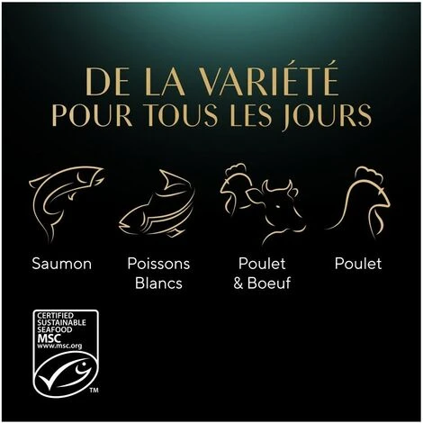 SHEBA Mini Filets 72 Sachets Fraîcheur Coffret Mixe Sauce Pour Chat 85g (6x12) 7 SHEBA Mini Filets 72 Sachets Fraîcheur Coffret Mixe Sauce Pour Chat 85g (6x12) – Image 5