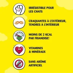 CATISFACTIONS Friandises Au Saumon Pour Chat Et Chaton (12x60g) -Pas Cher Toutou Mia Magasin 41862806 4