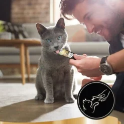 SHEBA Creamy Snacks 44 Sticks Au Saumon Friandise Crémeuse Pour Chat 12g (11x4) 10 SHEBA Creamy Snacks 44 Sticks Au Saumon Friandise Crémeuse Pour Chat 12g (11x4) -Pas Cher Toutou Mia Magasin 46561057 4