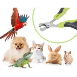 Coupe-griffes Et Coupe-ongles Pour Chat, Ciseaux à Ongles Courbe En Acier Inoxydable, Tondeuses à Griffes Portable Pour Chiot Lapin Oiseau Et Petits Animaux Pecute 9 Coupe-griffes Et Coupe-ongles Pour Chat, Ciseaux à Ongles Courbe En Acier Inoxydable, Tondeuses à Griffes Portable Pour Chiot Lapin Oiseau Et Petits Animaux Pecute -Pas Cher Toutou Mia Magasin 47518475 3