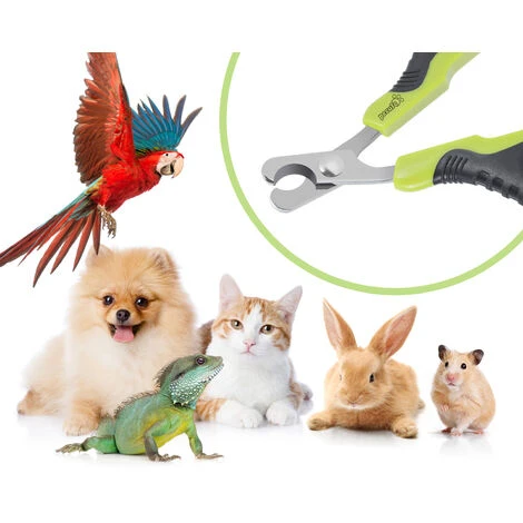 Coupe-griffes Et Coupe-ongles Pour Chat, Ciseaux à Ongles Courbe En Acier Inoxydable, Tondeuses à Griffes Portable Pour Chiot Lapin Oiseau Et Petits Animaux Pecute 5 Coupe-griffes Et Coupe-ongles Pour Chat, Ciseaux à Ongles Courbe En Acier Inoxydable, Tondeuses à Griffes Portable Pour Chiot Lapin Oiseau Et Petits Animaux Pecute – Image 3