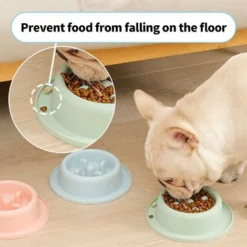 Glouton Chien,Gamelle D'alimentation Lente Anti-glouton Pour Chien Gamelle D'alimentation Lente Favorise Une Alimentation Saine Et Une Digestion Lente Avec Base Antidérapante Vert, Versailles 8 Glouton Chien,Gamelle D'alimentation Lente Anti-glouton Pour Chien Gamelle D'alimentation Lente Favorise Une Alimentation Saine Et Une Digestion Lente Avec Base Antidérapante Vert, Versailles -Pas Cher Toutou Mia Magasin 50992347 2