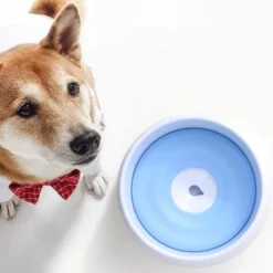 Gamelle Flottante Pour Animal Domestique - Distributeur D'eau Lente - Anti-débordement - Grande Capacité - Rose, Versailles -Pas Cher Toutou Mia Magasin 51283166 4