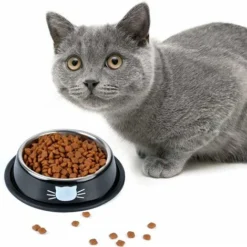 Gamelle Chat, 2 Pièces Bol Chat Pour Animaux De Compagnie Bol à Eau En Acier Inoxydable Gamelle Pour Chats Avec Antidérapant Noir Et Blanc Cassé 15.2X3.5cm,Versailles -Pas Cher Toutou Mia Magasin 52882880 5
