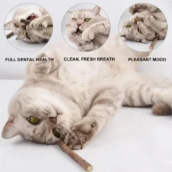 Lot De 5 Baton De Matatabi Pour Chat,Herbe à Chat Séchée Herbe A Chat Naturel Bâton De Matabi Macher Jouet Chats -Pas Cher Toutou Mia Magasin 52972705 3