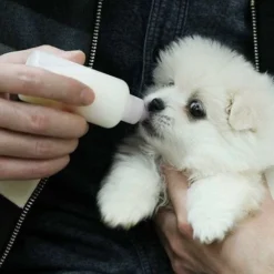 Biberon Chaton Chiot,Bouteille Allaitement Pour Chiot Tétines Brosse à Nettoyer Lactation Soins Pour Chat Et Chien Animal Nouveau Né De Compagnie-60ml 10 Biberon Chaton Chiot,Bouteille Allaitement Pour Chiot Tétines Brosse à Nettoyer Lactation Soins Pour Chat Et Chien Animal Nouveau Né De Compagnie-60ml -Pas Cher Toutou Mia Magasin 58207659 4