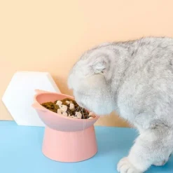 Gamelle Chat Gamelle Chien Gamelle Chat Surélevée,Bol Anti Vomissement Pour Chat,Bol De Nourriture Et D'eau Antidérapant, Pour Chat à Visage Plat Petit Chien (Rose) -Pas Cher Toutou Mia Magasin 59145347 4