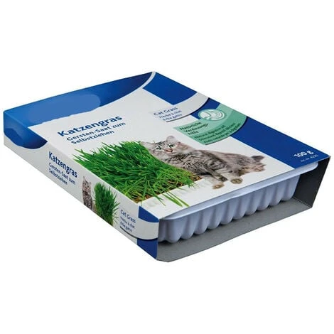 Herbe à Chat, Barquette De 100g - Animallparadise 3 Herbe à Chat, Barquette De 100g - Animallparadise