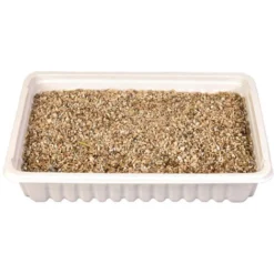 Herbe à Chat, Barquette De 100g - Animallparadise 6 Herbe à Chat, Barquette De 100g - Animallparadise -Pas Cher Toutou Mia Magasin 59432148 2