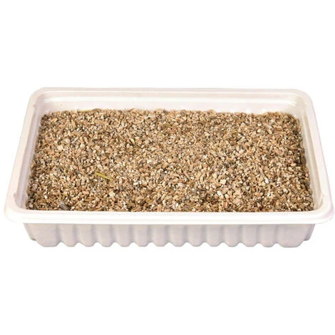 Herbe à Chat, Barquette De 100g - Animallparadise 4 Herbe à Chat, Barquette De 100g - Animallparadise – Image 2