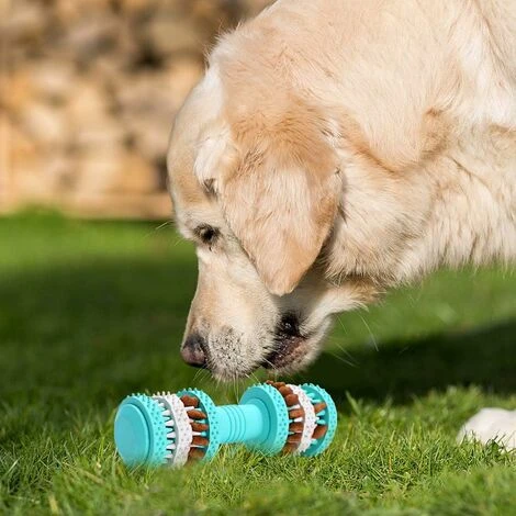 Jouet Chien Jouet à Mâcher Pour Chien Indestructible Jouet Pour Chien En Caoutchouc Naturel Jouet Distributeur Croquettes Chien Interactifs Pour Moyen Et Petit Chien Nettoyer Les Dents. 5 Jouet Chien Jouet à Mâcher Pour Chien Indestructible Jouet Pour Chien En Caoutchouc Naturel Jouet Distributeur Croquettes Chien Interactifs Pour Moyen Et Petit Chien Nettoyer Les Dents. – Image 3