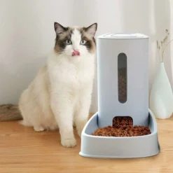 Distributeur Croquettes Et Eau Automatique Pour Chat Chien 3.8L X 2Pièces Distributeur De Nourriture/Eau Fontaine Mangeoirs Et Abreuvoirs Accesoires Gamelle Chat/ Chien/Animaux Domestiques 11 Distributeur Croquettes Et Eau Automatique Pour Chat Chien 3.8L X 2Pièces Distributeur De Nourriture/Eau Fontaine Mangeoirs Et Abreuvoirs Accesoires Gamelle Chat/ Chien/Animaux Domestiques -Pas Cher Toutou Mia Magasin 62342504 5