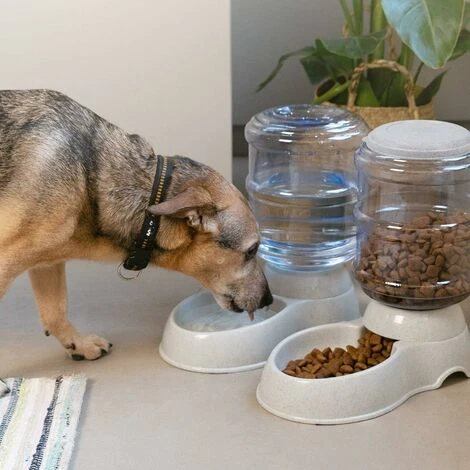 Distributeur D'eau Et De Nourriture Sèche - Accessoires Pour Chats Et Chiens Gamelle Automatique - Chat Chien & Lapin 4 Distributeur D'eau Et De Nourriture Sèche - Accessoires Pour Chats Et Chiens Gamelle Automatique - Chat Chien & Lapin – Image 2