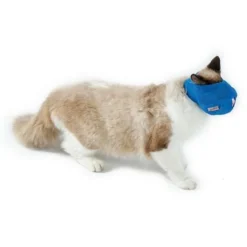 Masque Respirant En Maille Pour Chat Masque De Modification De La Bouche Anti-morsure Pour Animaux De Compagnie (bleu, S) -Pas Cher Toutou Mia Magasin 69508191 3