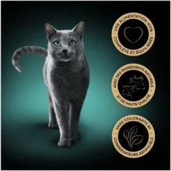 SHEBA Classiques Pour Chats 72 Barquettes Terrine Coffret Traiteur 85g (6x12) -Pas Cher Toutou Mia Magasin 70536005 2