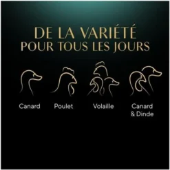 SHEBA 40 Sachets Fraîcheur Sélection à La Volaille En Sauce Pour Chat 85g (1x40) 11 SHEBA 40 Sachets Fraîcheur Sélection à La Volaille En Sauce Pour Chat 85g (1x40) -Pas Cher Toutou Mia Magasin 72171122 5