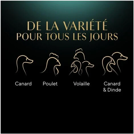 SHEBA 40 Sachets Fraîcheur Sélection à La Volaille En Sauce Pour Chat 85g (1x40) 7 SHEBA 40 Sachets Fraîcheur Sélection à La Volaille En Sauce Pour Chat 85g (1x40) – Image 5