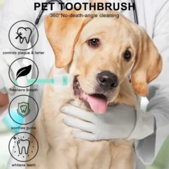 Brosse à Dents Pour Chien à 360 Degrés, 2 Jeux De Brosses à Dents Pour Chat Avec Manche En Silicone, Avec Boîte De Rangement, Chiot -Pas Cher Toutou Mia Magasin 73758434 5