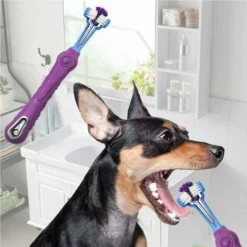 Brosse à Dents Pour Animaux De Compagnie à 3 Côtés Brosse à Dents Pour Chien Enlever La Mauvaise Haleine Tartre Nettoyage De La Bouche Soins Dentaires Pour Animaux De Compagnie Chat Nettoyage De La Bo -Pas Cher Toutou Mia Magasin 74519930 2