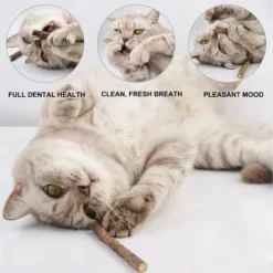 Déstockage Lot De 10 Baton De Matatabi Pour Chat,Herbe à Chat Séchée Herbe A Chat Naturel Bâton De Matabi Macher Jouet Chats -Pas Cher Toutou Mia Magasin 75691149 3