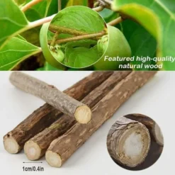 Déstockage 30 Bâtons D'herbe à Chat Naturel Matatabi Pour Friandises Dentaires -Pas Cher Toutou Mia Magasin 75691174 3