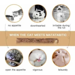 Déstockage 30 Bâtons D'herbe à Chat Naturel Matatabi Pour Friandises Dentaires -Pas Cher Toutou Mia Magasin 75691174 4