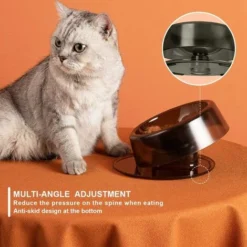 GDRHVFD Gamelle Plastique Chat Chien 420ml,0–22 ° Gamelle Chat Surélevée Et Inclinée,Bol Chat Anti Vomissement Anti Derapante,Bol Chat Ergonomique (Noir) -Pas Cher Toutou Mia Magasin 77367469 5