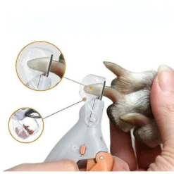 Ciseaux Professionnels Pour Coupe-ongles Pour Animaux De Compagnie, Chien, Chat, Ongles, Griffes, Lampe à LED, Fournitures Pour Animaux De Compagnie (1 Pièce)