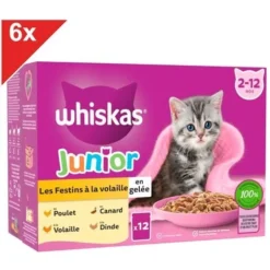 WHISKAS JUNIOR 72 Sachets Fraîcheur En Gelée 4 Variétés Pour Chaton 85g (6x12)