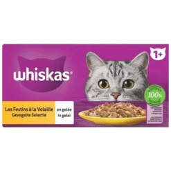 WHISKAS 72 Sachets Fraîcheur En Gelée 4 Variétés Volaille Pour Chat 85g (6x12) -Pas Cher Toutou Mia Magasin 86616507 4
