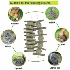 Bunny Chew Toys Pour Les Dents, Gâteau D’herbe Nature, Boule D’herbe Tissée, Lapin 7 Bunny Chew Toys Pour Les Dents, Gâteau D’herbe Nature, Boule D’herbe Tissée, Lapin -Pas Cher Toutou Mia Magasin 88372255 3