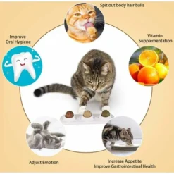 KAEJYIUTJouets à L'herbe à Chat, Balles D'herbe à Chat Comestibles, Herbe à Chat Sre Et Saine, Famille De Chats Chassant Les Jouets, Nettoyant Les Dents, Protégeant L'estomac -Pas Cher Toutou Mia Magasin 89072280 4