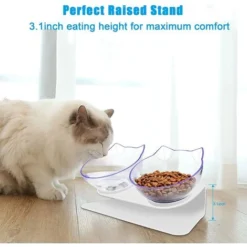 Bol Pour Chat Surélevé, Bol Pour Chat Surélevé Avec Inclinaison De 15°, Bol Pour Chat Anti-vomissement Avec Support Pour Les Chats D'intérieur Et Les Petits Chiens -Pas Cher Toutou Mia Magasin 90535110 4