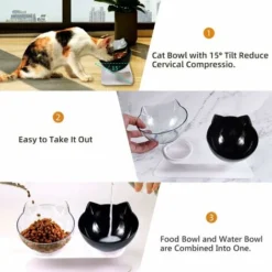 Promotion Double Bol Pour Chat, Gamelle Pour Chat, Inclinable à 15° Double Gamelle Chat Surélevée, Chargeur Pour Animaux De Compagnie à Double Bol Avec Support De Surélevé Pour Chats Et Chiens De Peti 9 Promotion Double Bol Pour Chat, Gamelle Pour Chat, Inclinable à 15° Double Gamelle Chat Surélevée, Chargeur Pour Animaux De Compagnie à Double Bol Avec Support De Surélevé Pour Chats Et Chiens De Peti -Pas Cher Toutou Mia Magasin 93339548 3