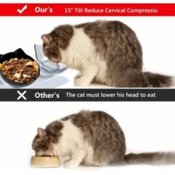 Promotion Double Bol Pour Chat, Gamelle Pour Chat, Inclinable à 15° Double Gamelle Chat Surélevée, Chargeur Pour Animaux De Compagnie à Double Bol Avec Support De Surélevé Pour Chats Et Chiens De Peti 10 Promotion Double Bol Pour Chat, Gamelle Pour Chat, Inclinable à 15° Double Gamelle Chat Surélevée, Chargeur Pour Animaux De Compagnie à Double Bol Avec Support De Surélevé Pour Chats Et Chiens De Peti -Pas Cher Toutou Mia Magasin 93339548 4